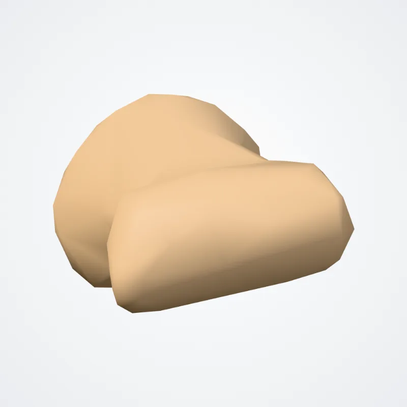 Middle phalanx of third finger of foot (Phalanx media tertium digitorum pedis) highlighted in a 3D model of the human body