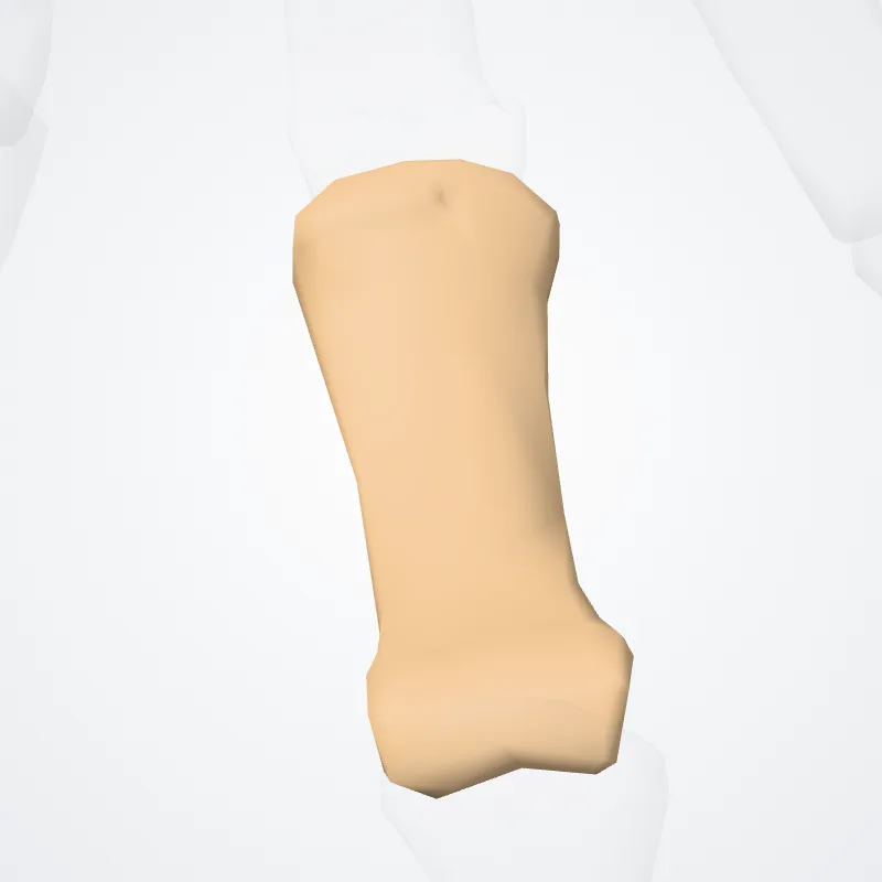 Middle phalanx of third finger of hand (Phalanx media tertium digitorum manus) highlighted in a 3D model of the human body