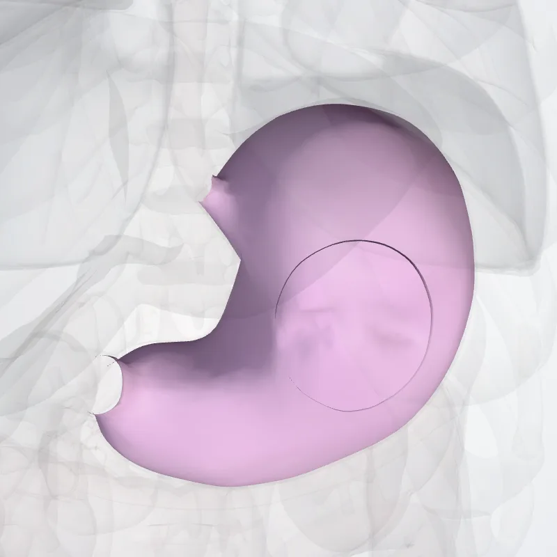 Tunica mucosa gastris (Mucosa of stomach) hervorgehoben in einem 3D-Modell des menschlichen Körpers