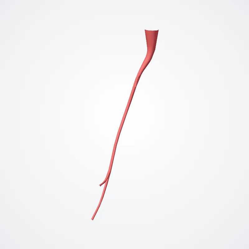 Ramus mylohyoideus arteriae alveolaris inferioris (Mylohyoid branch of inferior alveolar artery) hervorgehoben in einem 3D-Modell des menschlichen Körpers
