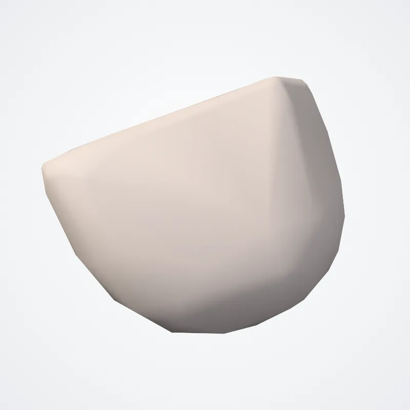 Non-coronary leaflet (Valvula noncoronaria valvae aortae) highlighted in a 3D model of the human body