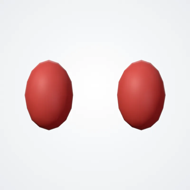 Nucleus nervi abducentis (Nucleus of abducens nerve) hervorgehoben in einem 3D-Modell des menschlichen Körpers