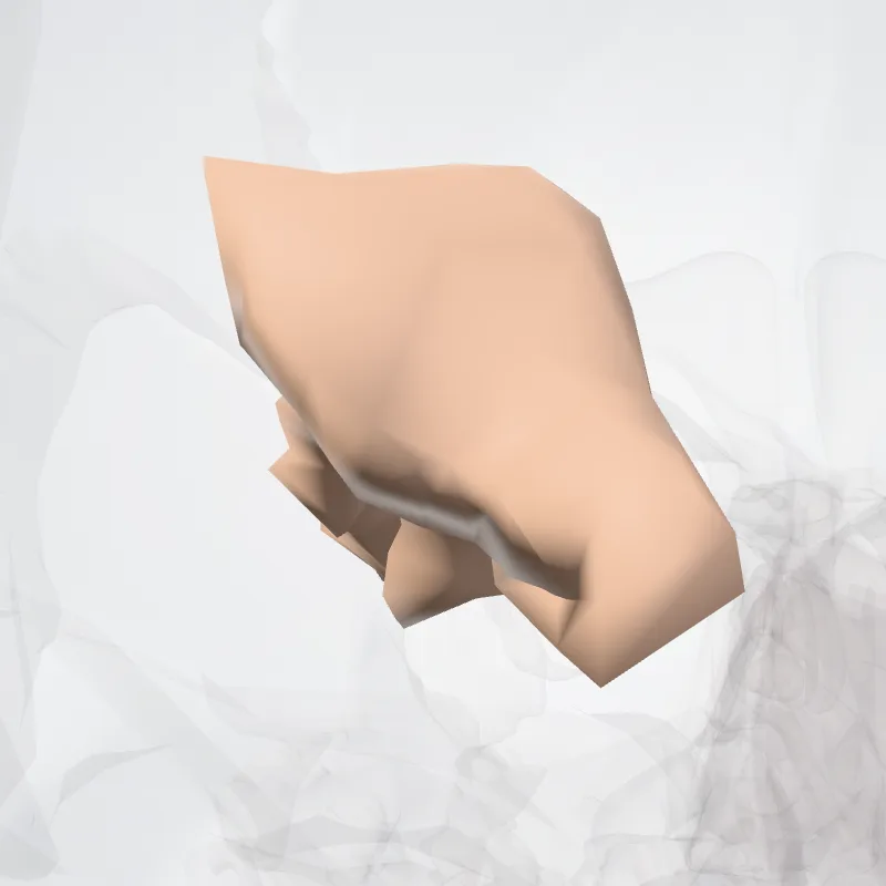 Occipitotemporal sulcus (Lateral part*) highlighted in a 3D model of the human body