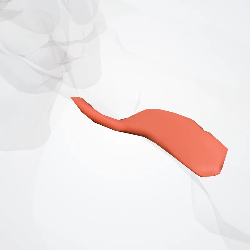 (Opponens digiti minimi muscle of foot) ((Musculus opponens digiti minimi pedis)) highlighted in a 3D model of the human body