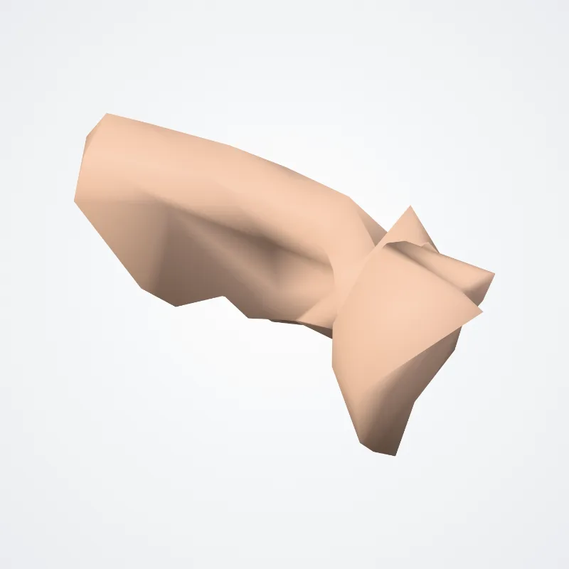 Pars orbitalis gyri frontalis inferioris (Orbital part of  inferior frontal gyrus) hervorgehoben in einem 3D-Modell des menschlichen Körpers