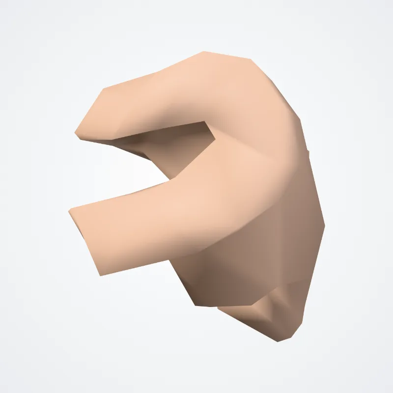 Orbital sulci (Lateral Orbital sulcus*) hervorgehoben in einem 3D-Modell des menschlichen Körpers