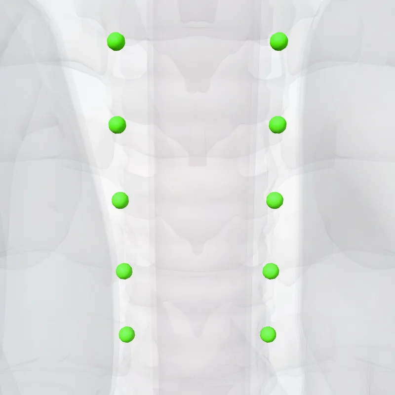 Nodi paratracheales thoracis (Paratracheal thoracic nodes) hervorgehoben in einem 3D-Modell des menschlichen Körpers