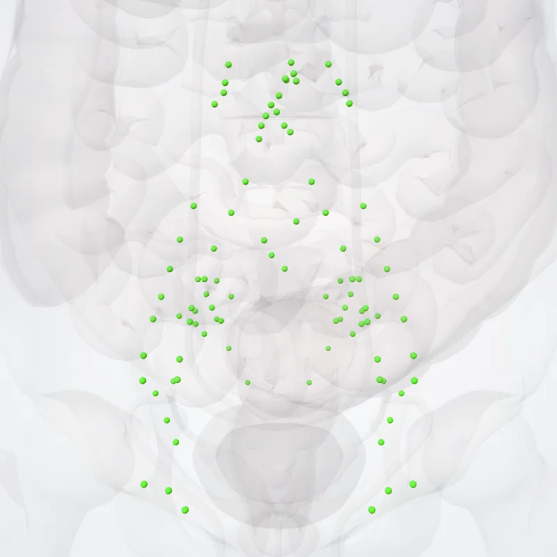 Parietal pelvic lymph nodes (Nodi lymphoidei pariétales pelvis) highlighted in a 3D model of the human body