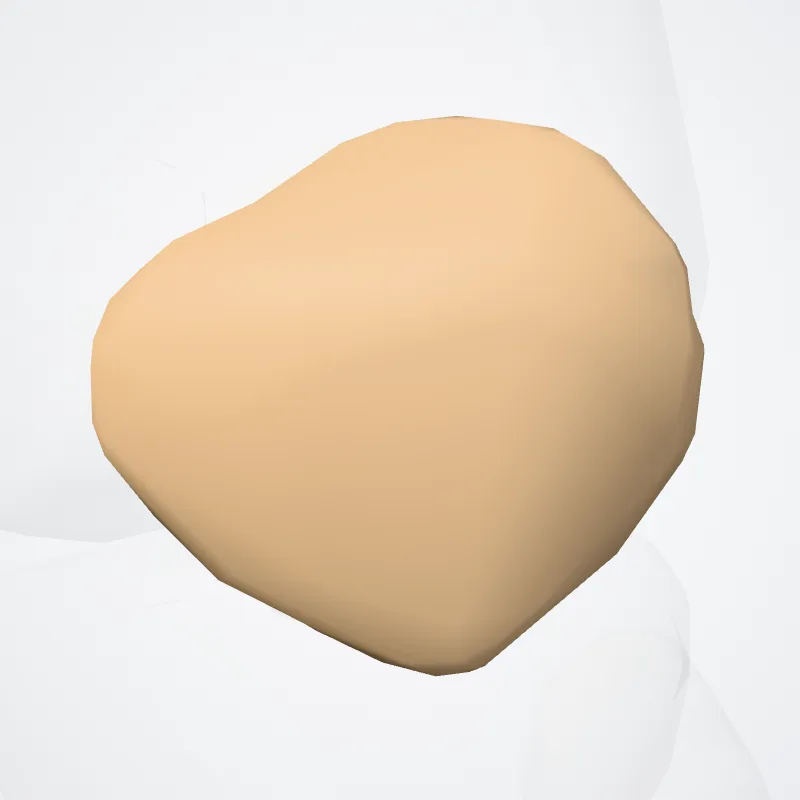 Patella hervorgehoben in einem 3D-Modell des menschlichen Körpers