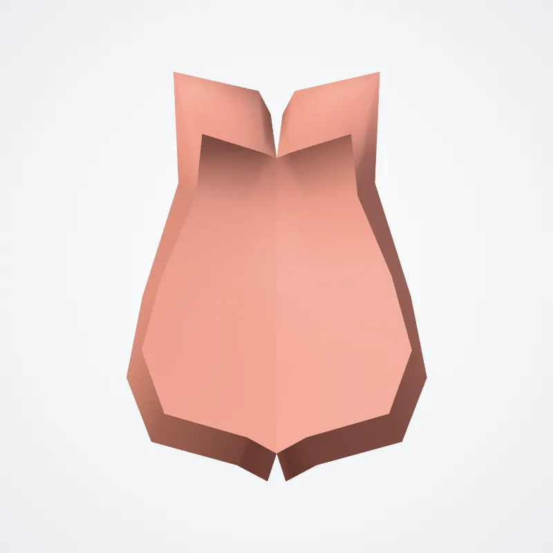 Philtrum hervorgehoben in einem 3D-Modell des menschlichen Körpers