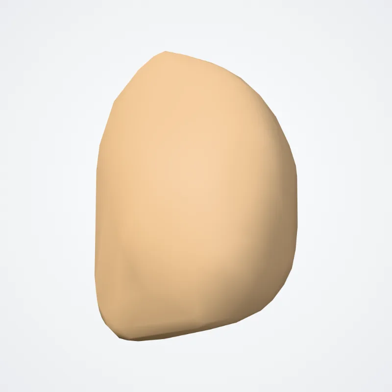 Pisiform bone (Os pisiforme) highlighted in a 3D model of the human body
