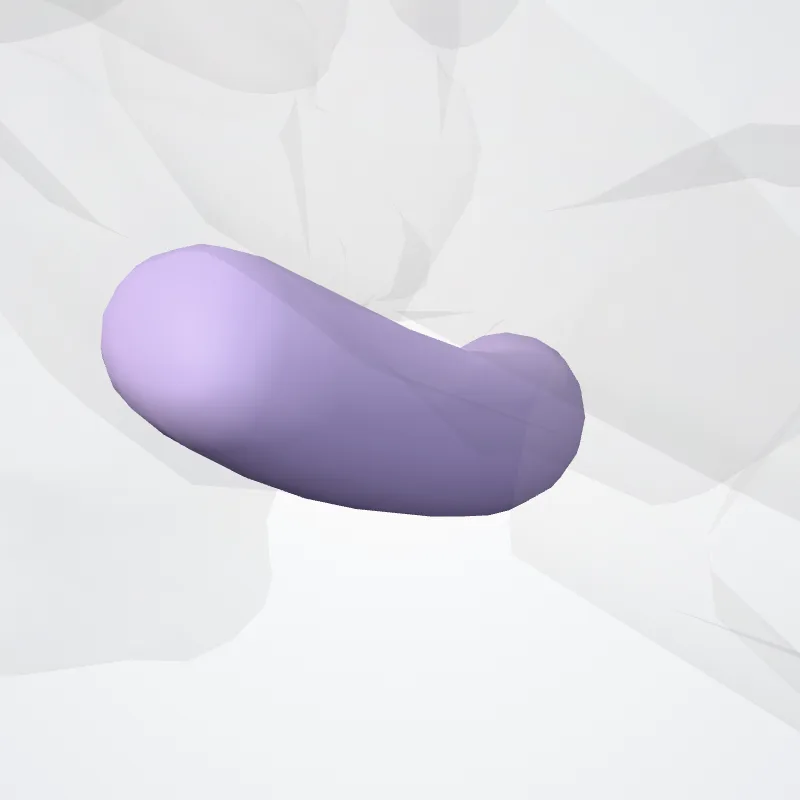 Vagina plantaris tendinis musculi fibularis longi (Plantar tendon sheath of fibularis longus muscle) hervorgehoben in einem 3D-Modell des menschlichen Körpers
