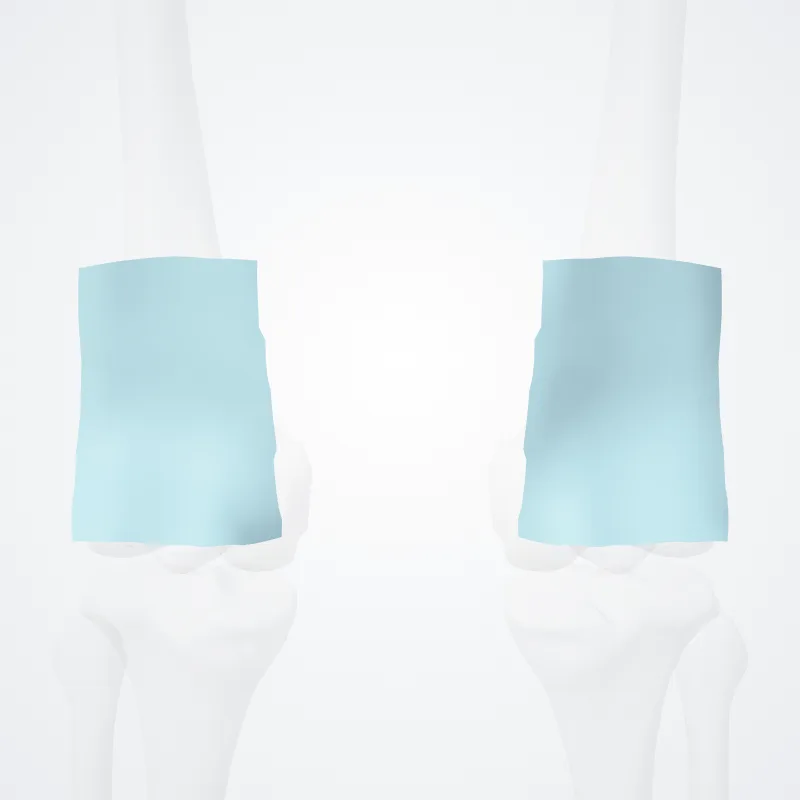 Popliteal fascia (Fascia poplitea) highlighted in a 3D model of the human body