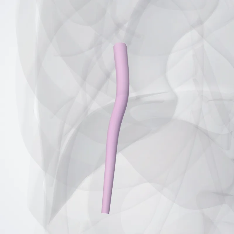 Bronchus segmentalis basalis posterior pulmonis sinistri (BX) (Posterior basal segmental bronchus of left lung (BX)) hervorgehoben in einem 3D-Modell des menschlichen Körpers