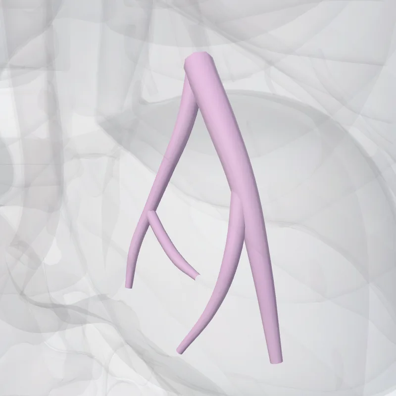 Bronchus segmentalis basalis posterior pulmonis dextri (BX) (Posterior basal segmental bronchus of right lung (BX)) hervorgehoben in einem 3D-Modell des menschlichen Körpers