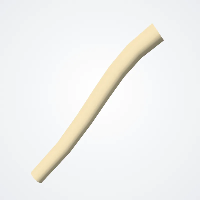 Posterior division of middle trunk of brachial plexus (Divisio posterior trunci medii plexus brachialis) highlighted in a 3D model of the human body