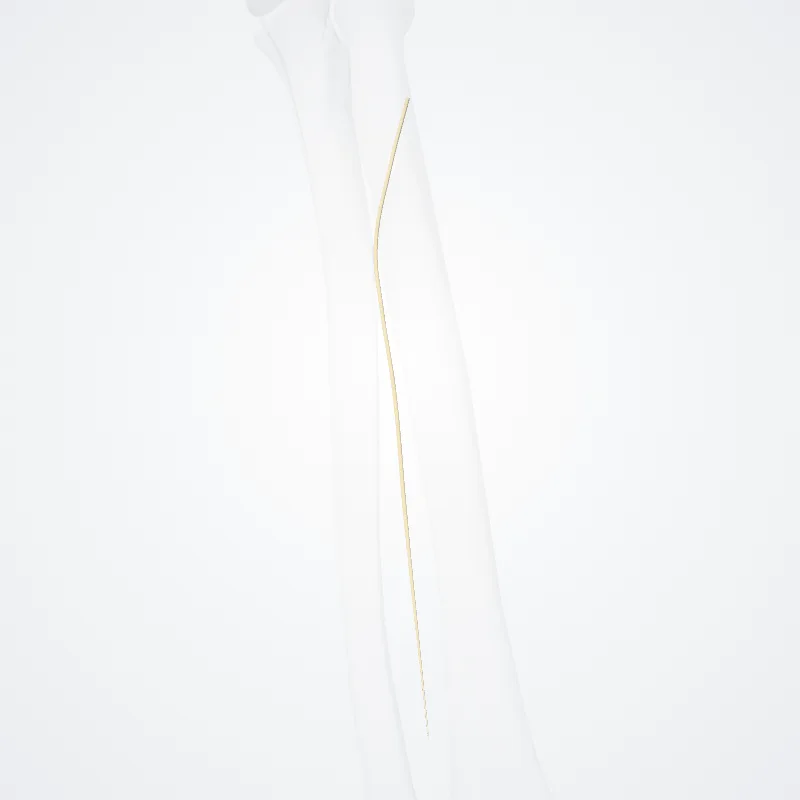 Posterior interosseous nerve of forearm (Nervus interosseus posterior antebrachii) highlighted in a 3D model of the human body