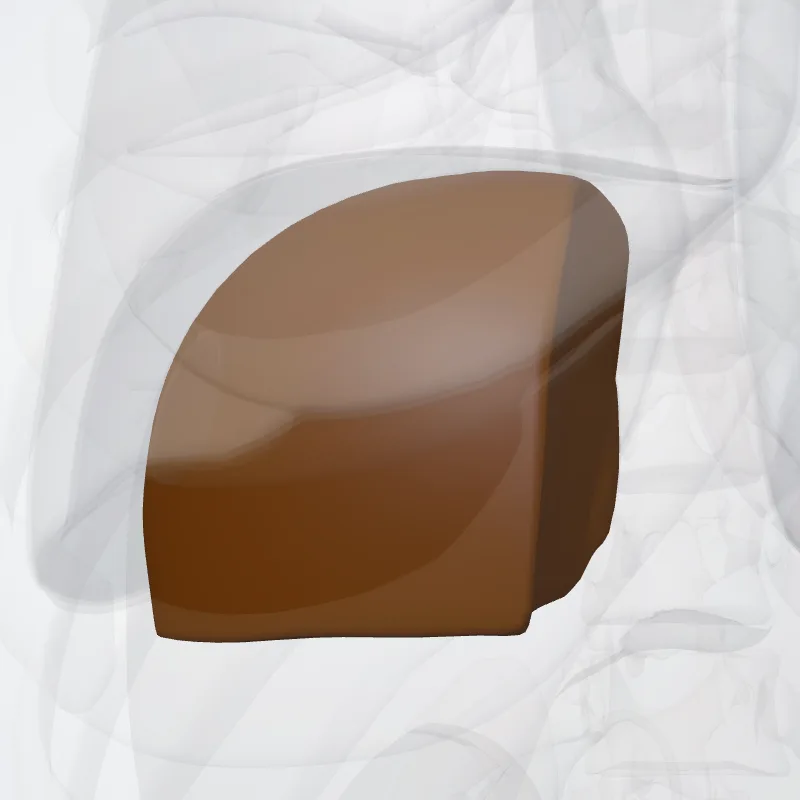 Segmentum posterius mediale dextrum hepatis (VIII) (Posterior medial segment of liver (VIII)) hervorgehoben in einem 3D-Modell des menschlichen Körpers