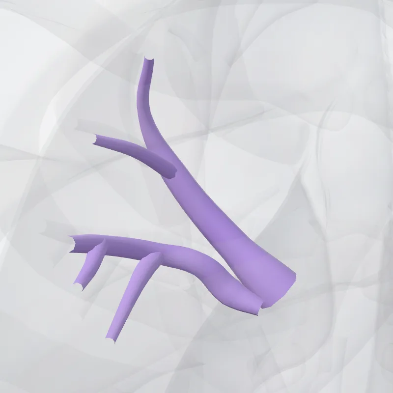 Posterior segmental artery of left lung (Arteria segmentalis posterior pulmonis sinistri) highlighted in a 3D model of the human body