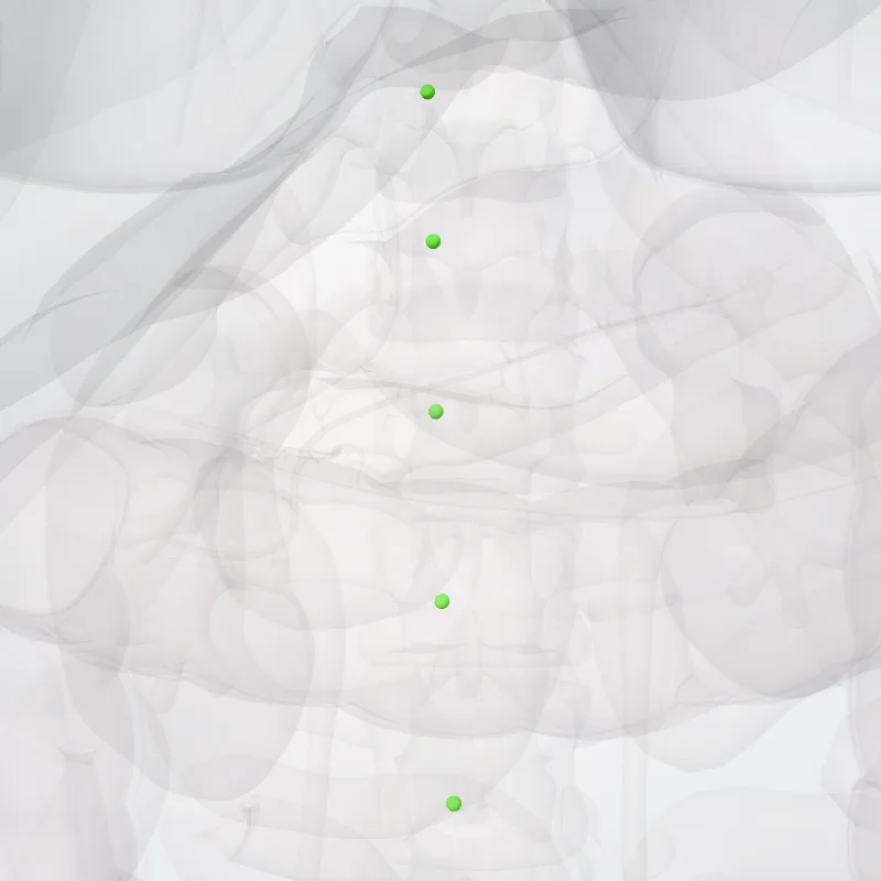 Nodi precavales (Precaval nodes) hervorgehoben in einem 3D-Modell des menschlichen Körpers