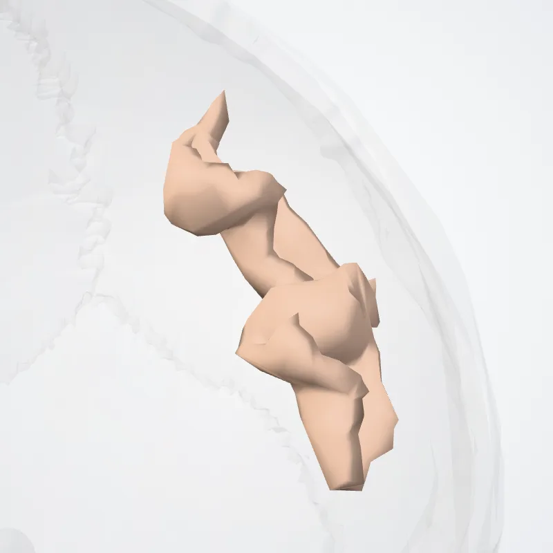 Precentral sulcus (inferior part)* highlighted in a 3D model of the human body