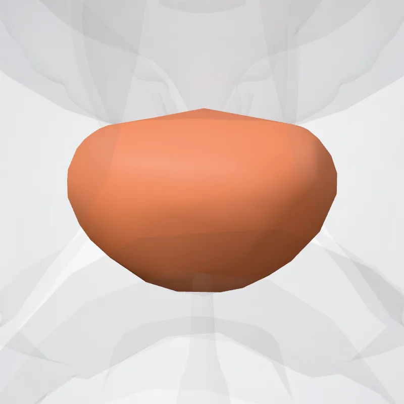 Prostata (Prostate) hervorgehoben in einem 3D-Modell des menschlichen Körpers