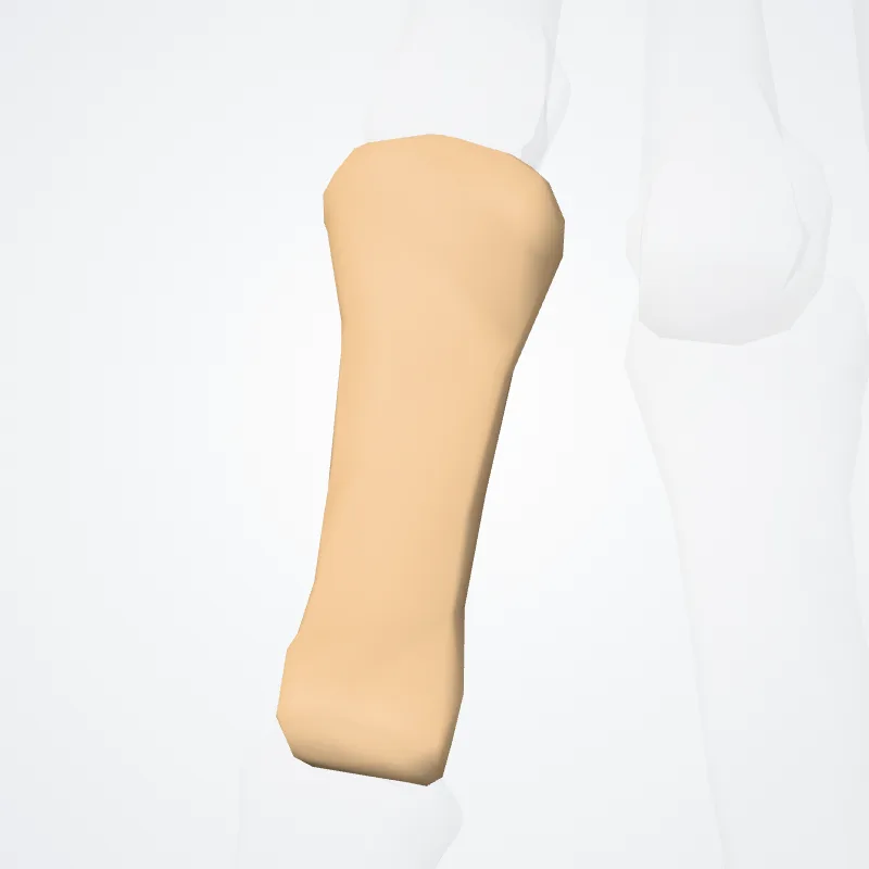 Proximal phalanx of fifth finger of hand (Phalanx proximalis quintum digitorum manus) highlighted in a 3D model of the human body