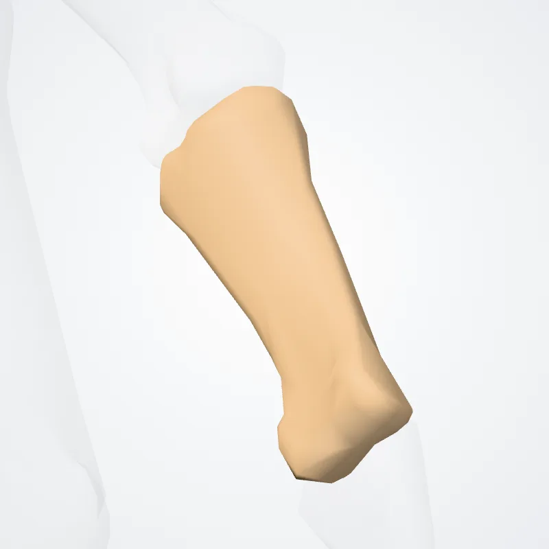 Phalanx proximalis primum digitorum manus (Proximal phalanx of first finger of hand) hervorgehoben in einem 3D-Modell des menschlichen Körpers