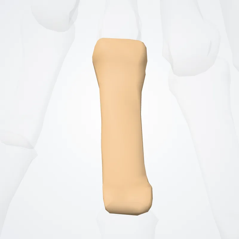 Phalanx proximalis quartum digitorum manus (Proximal phalanx of fourth finger of hand) hervorgehoben in einem 3D-Modell des menschlichen Körpers