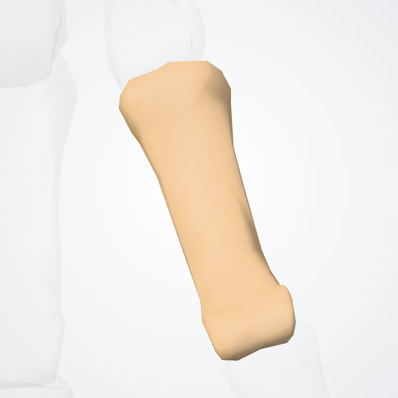 Proximal phalanx of second finger of hand (Phalanx proximalis secundum digitorum manus) highlighted in a 3D model of the human body
