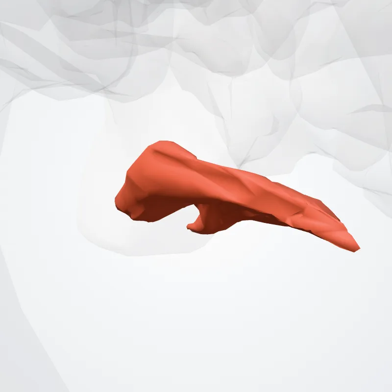 Musculus quadratus plantae (Quadratus plantae muscle) hervorgehoben in einem 3D-Modell des menschlichen Körpers
