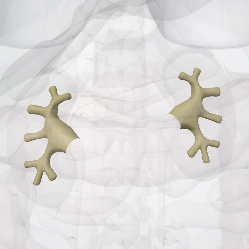 Pelvis renalis (Renal pelvis) hervorgehoben in einem 3D-Modell des menschlichen Körpers
