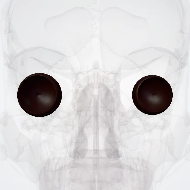 Retina highlighted in a 3D model of the human body