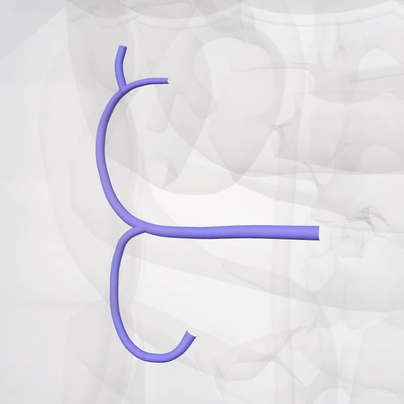 Vena colica dextra (Right colic vein) hervorgehoben in einem 3D-Modell des menschlichen Körpers