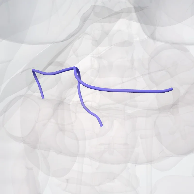 Right gastro-omental vein (Vena gastroomentalis dextra) highlighted in a 3D model of the human body