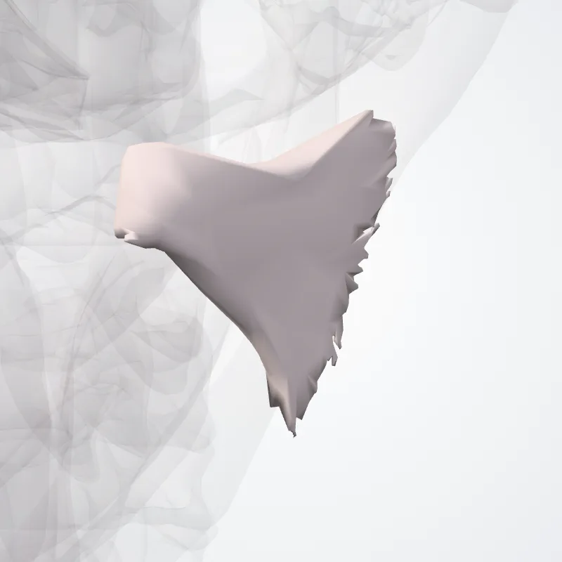 Risorius muscle (Musculus risorius) highlighted in a 3D model of the human body