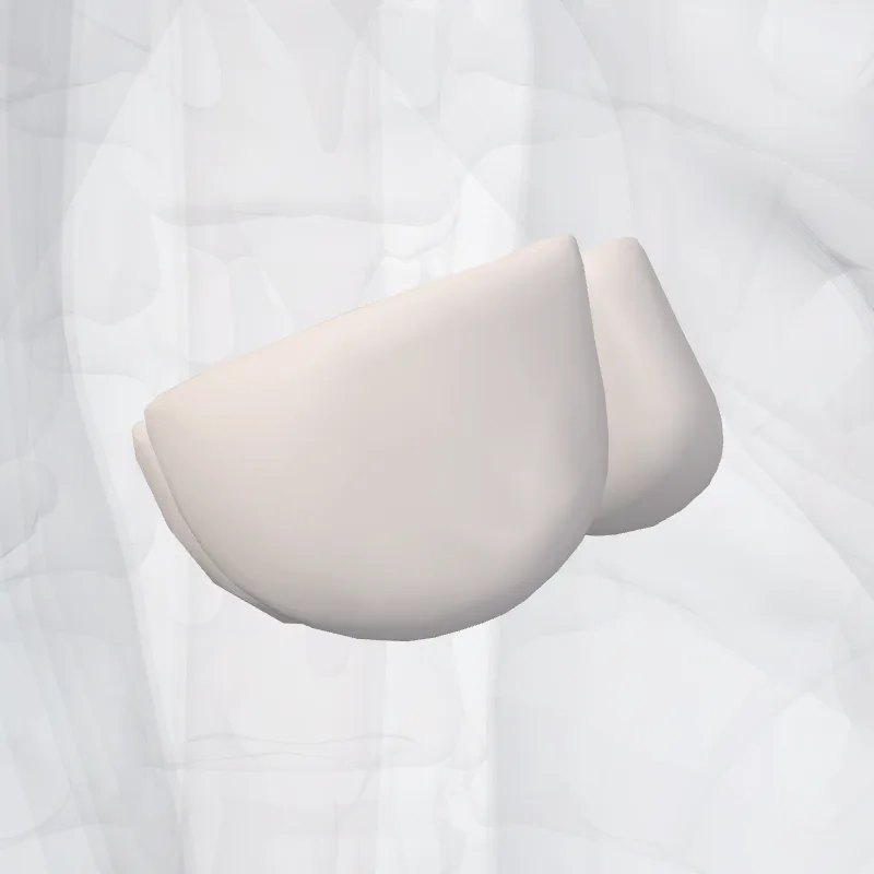 Root of aorta (Radix aortae) highlighted in a 3D model of the human body