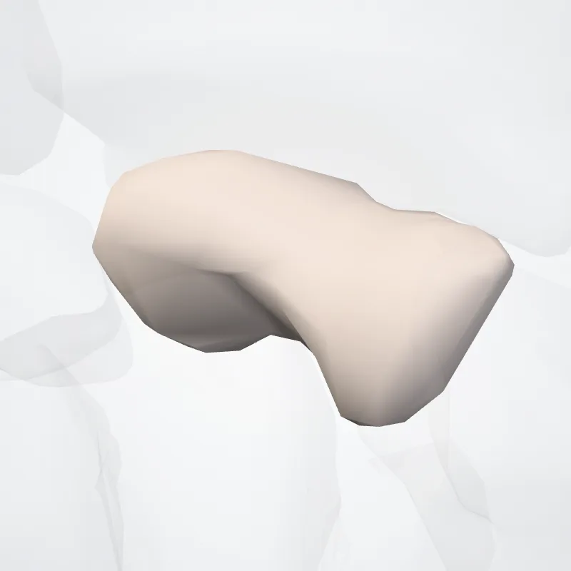Scaphoid bone (Os scaphoideum) highlighted in a 3D model of the human body