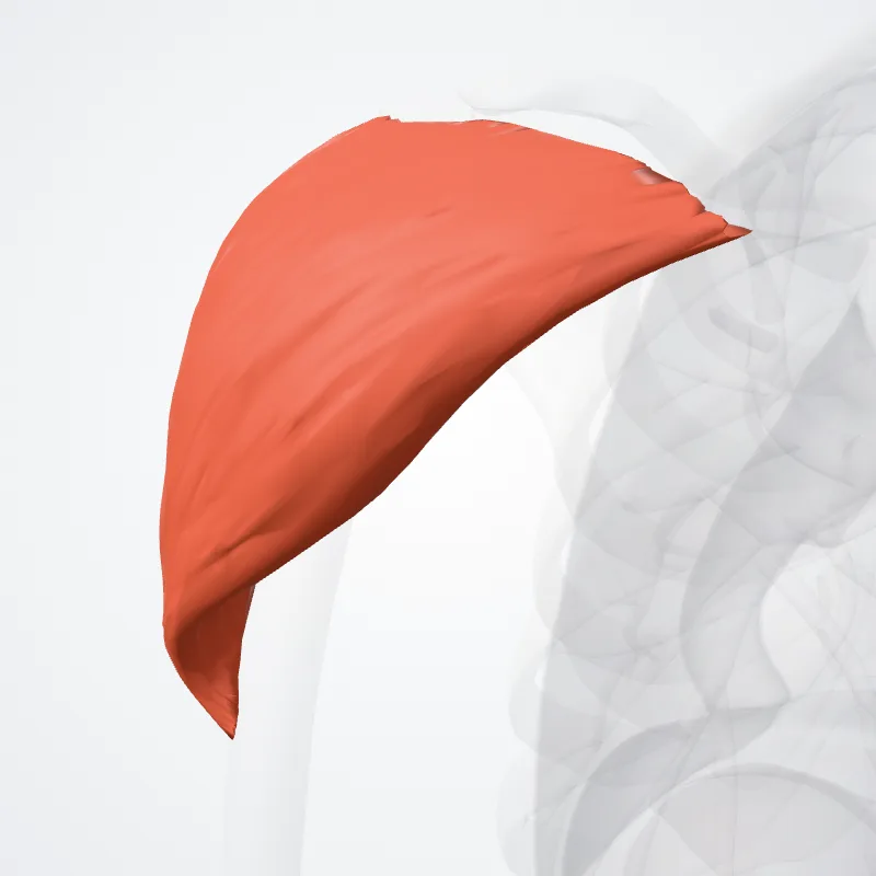 Scapular spinal part of deltoid muscle (Pars spinalis scapularis musculi deltoidei) highlighted in a 3D model of the human body