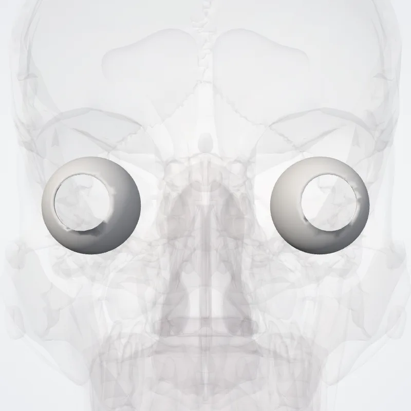 Sclera, the structure this landmark is on