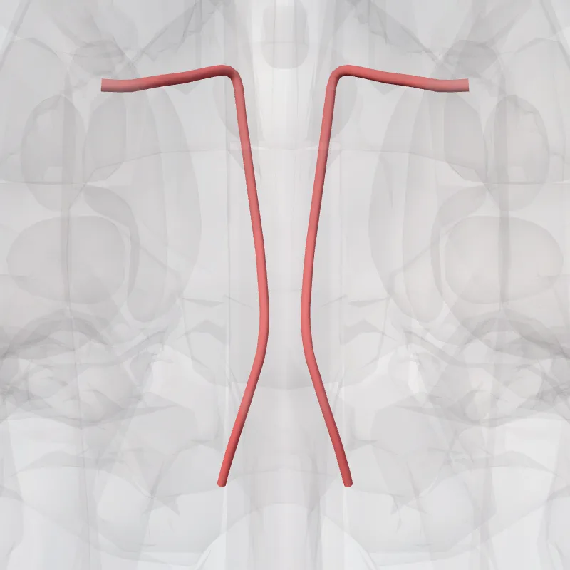 Septal branches of posterior ethmoidal artery (Rami septales arteriae ethmoideae posterioris) highlighted in a 3D model of the human body