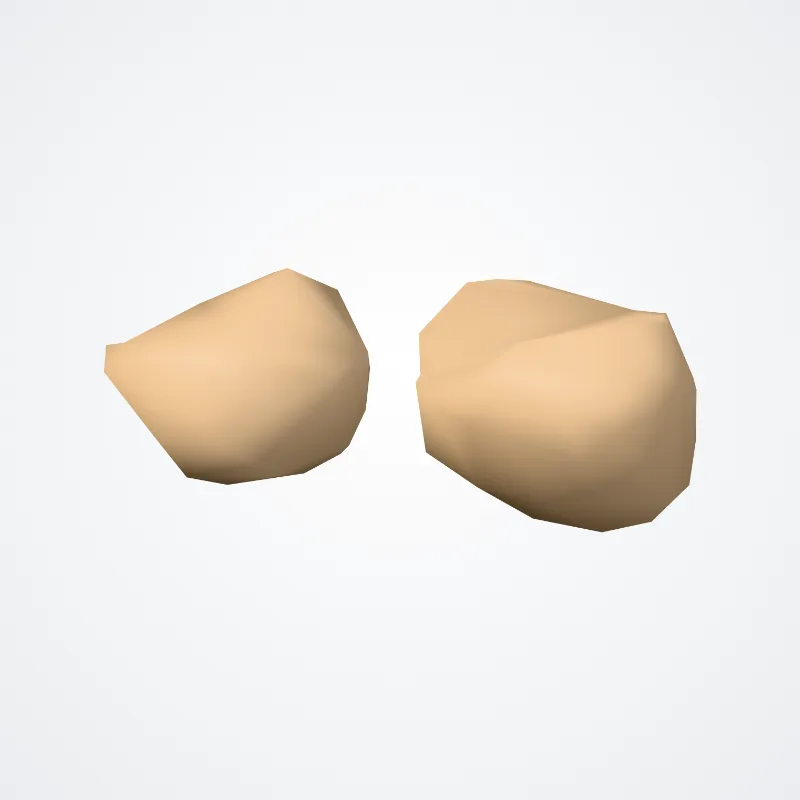 Sesamoid bones of foot (Ossa sesamoidea pedis) highlighted in a 3D model of the human body