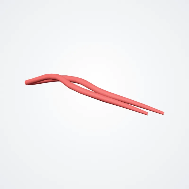 Short posterior ciliary arteries (Arteriae ciliares posteriores breves) highlighted in a 3D model of the human body