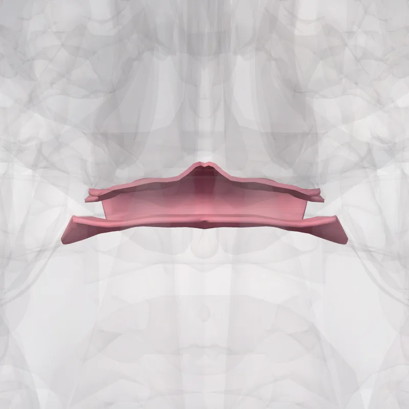 Soft palate (Palatum molle) highlighted in a 3D model of the human body