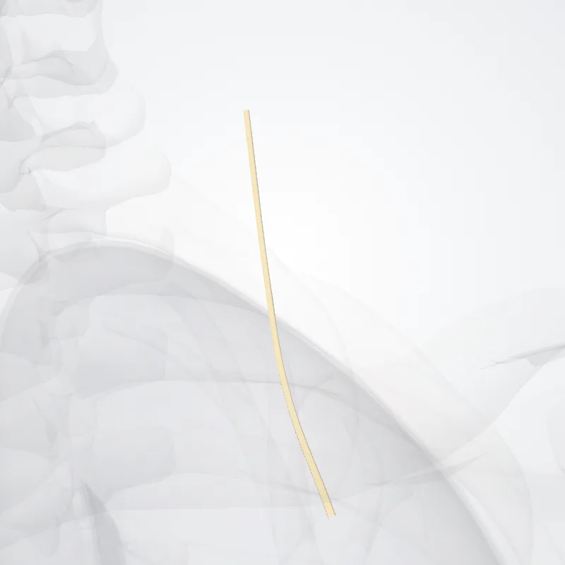 Nervus subclavius (Subclavian nerve) hervorgehoben in einem 3D-Modell des menschlichen Körpers