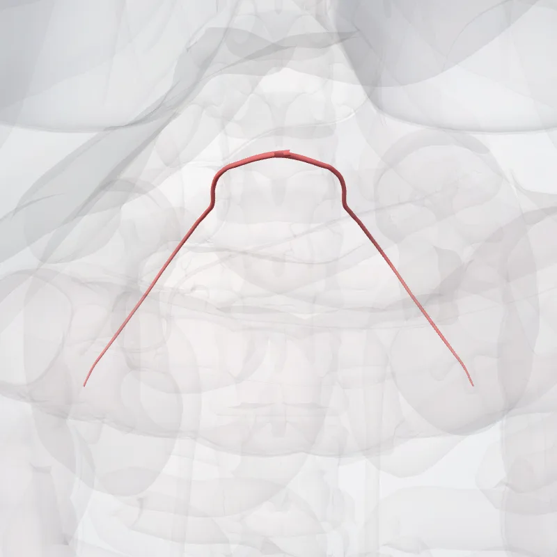 Subcostal artery (Arteria subcostalis) highlighted in a 3D model of the human body