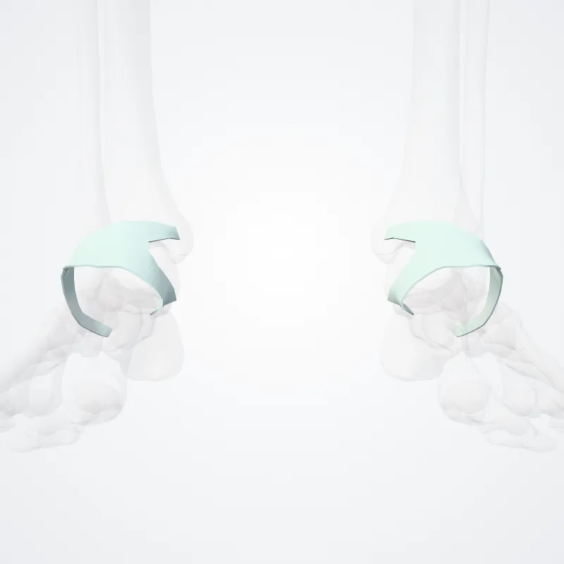 Retinaculum fibulare superius (Superior fibular retinaculum) hervorgehoben in einem 3D-Modell des menschlichen Körpers