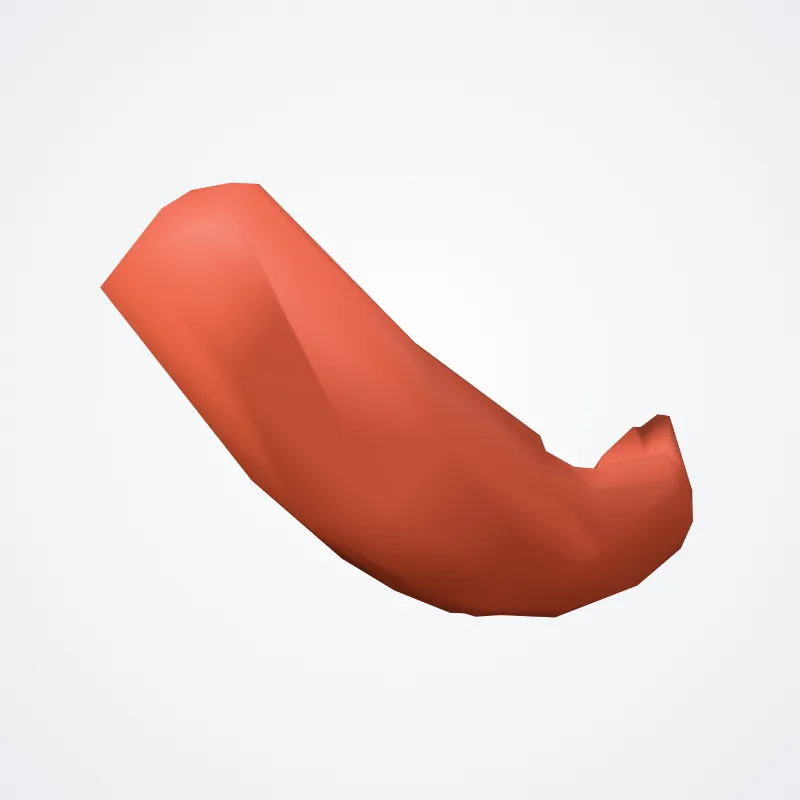 Caput superius musculi pterygoidei lateralis (Superior head of lateral pterygoid muscle) hervorgehoben in einem 3D-Modell des menschlichen Körpers