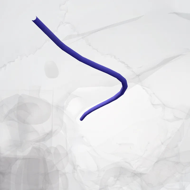 Vena ophthalmica superior (Superior ophthalmic vein) hervorgehoben in einem 3D-Modell des menschlichen Körpers