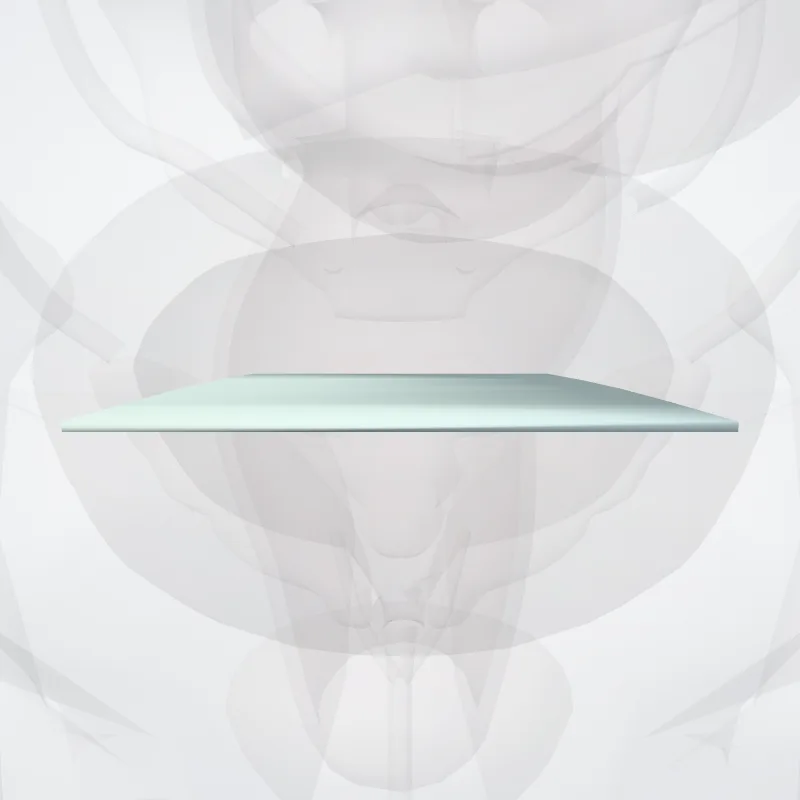 Superior pubic ligament (Ligamentum pubicum superius) highlighted in a 3D model of the human body